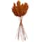 Dried Plant Pampas Natural Foliage with Long Stems